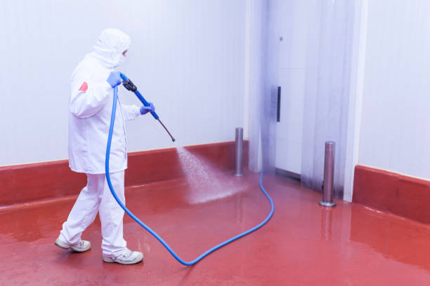 Best Sign and Awning Cleaning  in Mill Creek East, WA