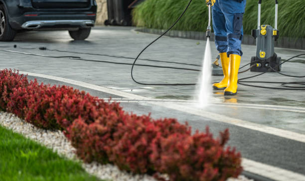 Best Sidewalk and Walkway Cleaning  in Mill Creek East, WA